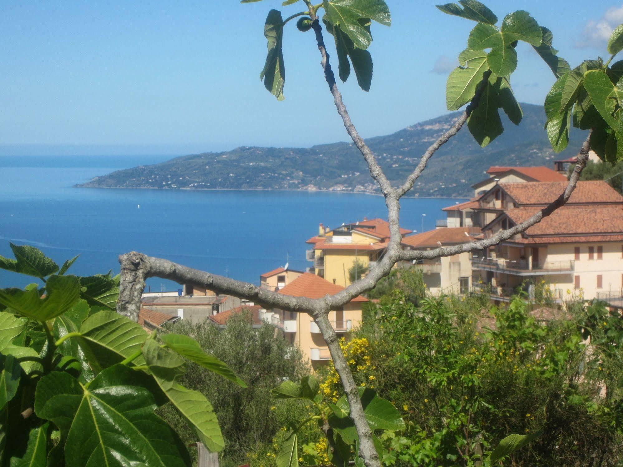 Villa Santa Sofia Ascea Dış mekan fotoğraf