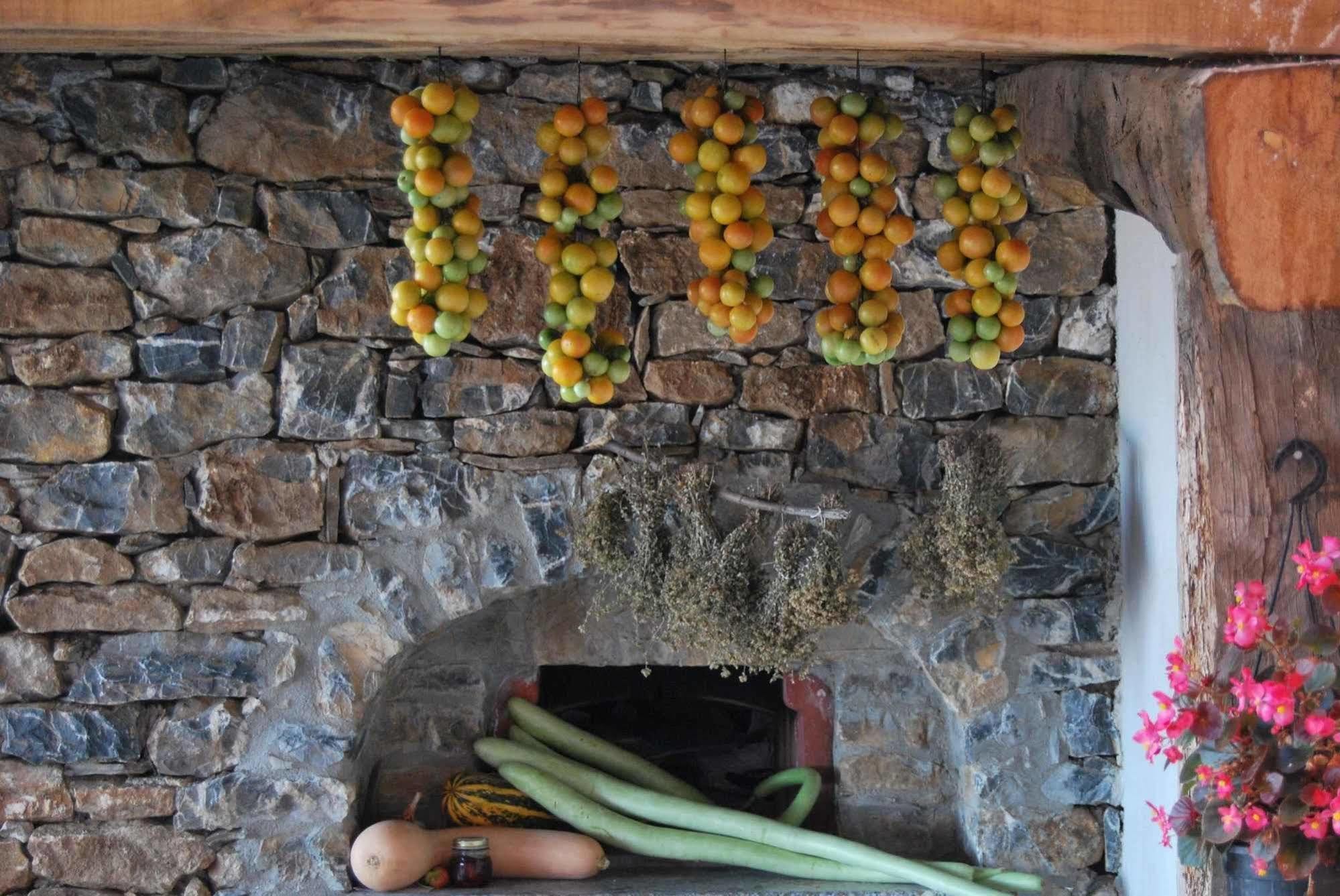 Villa Santa Sofia Ascea Dış mekan fotoğraf